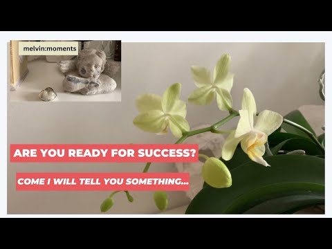 15 melvin:moments Are