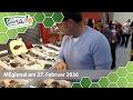MEgional Am 27 Februar 2026