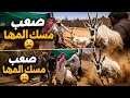 اسهل طريقة مسك وتحميل المها العربي 