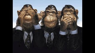 One Less Monkey Promo