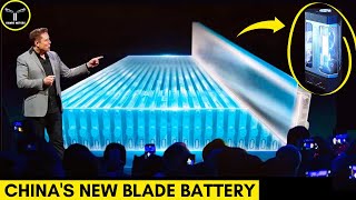 Is China's BYD Blade Battery the Future? | BYD, Tesla