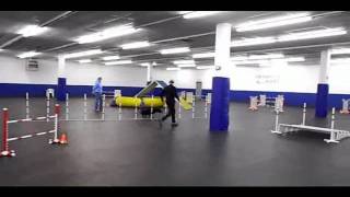 Twitch steeplechase penn-oh show 12-31-11.avi
