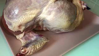 الدجاج اصبح اخطر من السم على صحتنا ردو البال وحميو نفوسكوم 2020