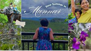 Budget Travel tips for family | Calm &amp; Peaceful summer in Munnar | Slow &amp; relaxing travel with kids