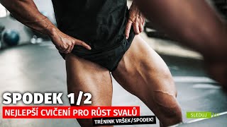 Tréninkový plán vršek/spodek | Nejlepší trénink spodní části těla pro růst svalů | 1.část