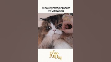 BỨC TRANH ĐỘC ĐÁO ĐẾN TỪ TRUNG QUỐC ĐƯỢC LÀM TỪ LÔNG MÈO