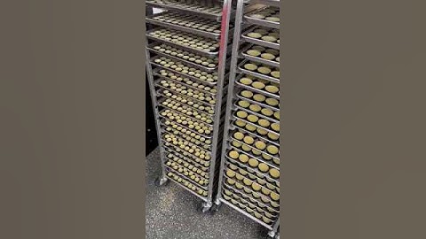 American customer feedback video