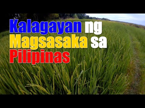 Video: Ano ang sanhi ng kalagayan ng mga magsasaka noong huling bahagi ng ika-19 na siglo?
