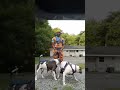 Goku and his Saiyan Bullies