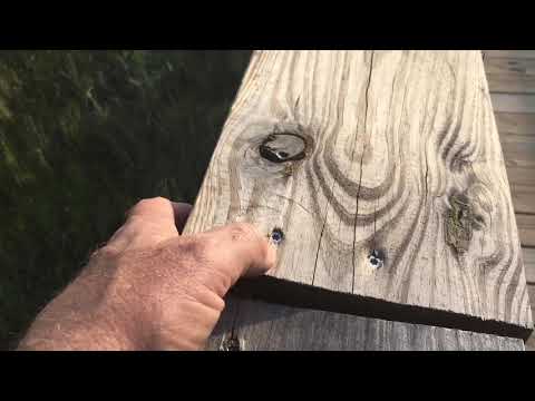 How To Properly Install Pressure Treated Wood Deck Boards