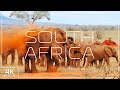 Wonderful South Africa in 4K | Explore wildlife and landscapes