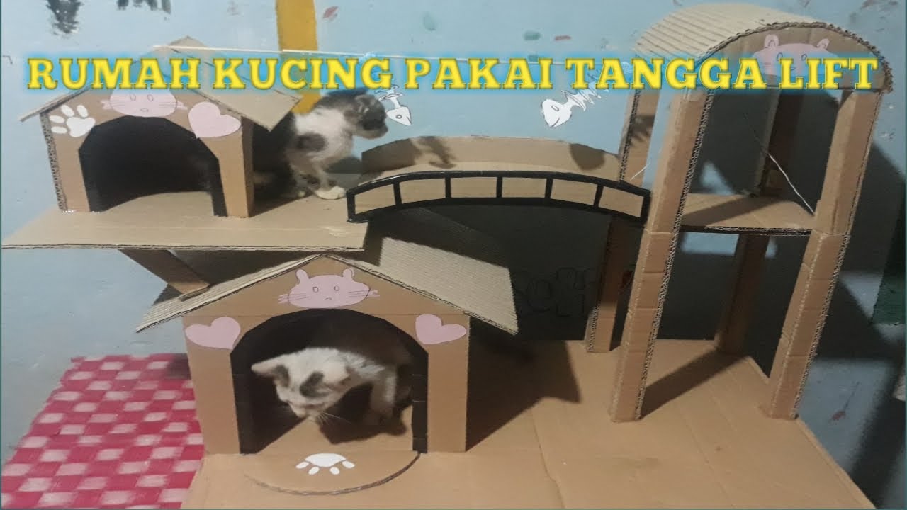 Cara Membuat Rumah  Kucing 2 Lantai Dari  Kardus  Mengunakan 