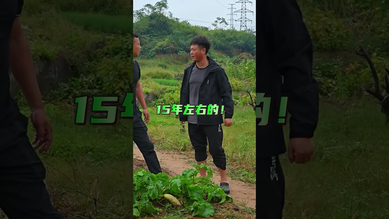 花5000包下1小时的荒塘抓刺龟，看看能不能抓刺龟？
