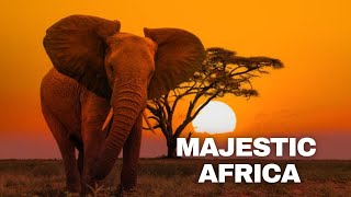 African Safari Enduring Hope - Daniel Deuschle - Scenic Wildlife Film