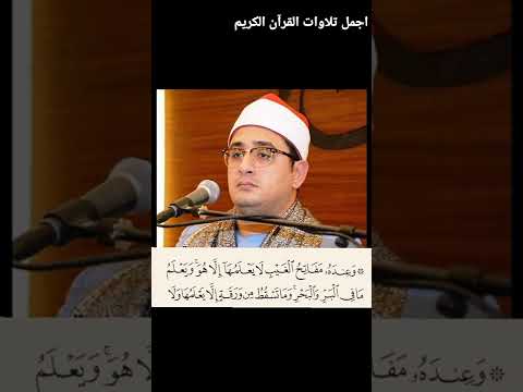 الشيخ محمود الشحات انور  الشيخ محمود الشحات انور