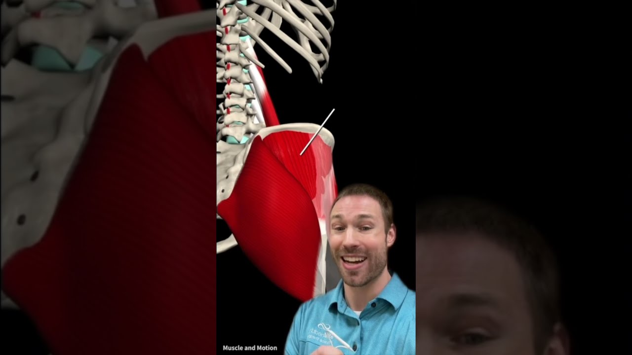 Best Exercises For Tight Painful Hip Flexors