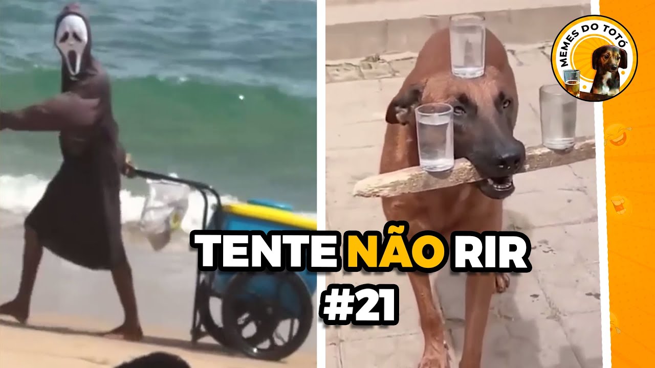 Tente não Rir - Melhores Memes e Vídeos Engraçados 2023 #21