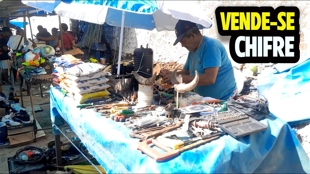VENDE ATÉ CHIFRE NA FEIRA DO ROLO DE OITIZEIRO EM JOÃO PESSOA
