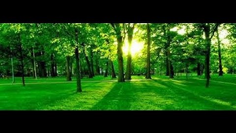 سورة مريم بصوت وديع بن حمادي اليمني