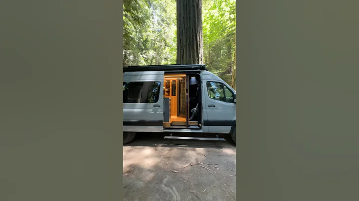 Luxury Van Walkthrough | Odyssey | Available Now!