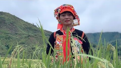 nguồn gốc của lễ  mừng "cơm" mới của người Dao Tuyển|Nhật ký Trai Bản #80