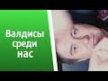 Валдисы среди нас | КОНСТАНТИН КАДАВР (НАРЕЗКА СТРИМА)