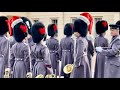 King’s Guards delight public with unexpected Christmas spectacle! 🎄