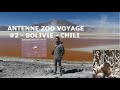 Bolivie  chili  flamants viscaches et otaries  antenne zoo voyage  2