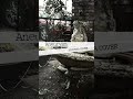 "Aneurysm" | NIRVANA cover
