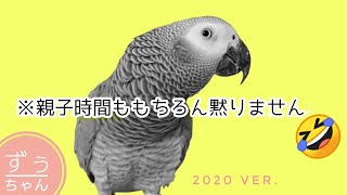 お喋りずぅちゃんは親子時間も賑やかです【2020年ver.】