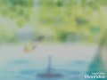 #happiness#water #savewatersaveearth #saveearthsavewater#whatsaapstatus#status#bestvideo#SAVE WATER 