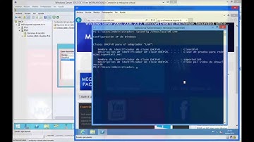 RedesCMD - El comando ipconfig /showclassid6