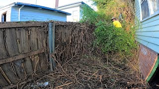 Garden Catastrophe Cleared | You Have Never Seen Anything Like This 😮