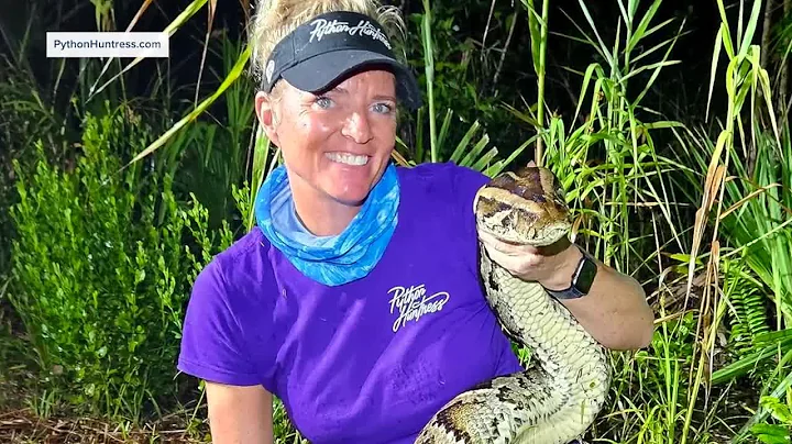 Python kills triple in Florida Everglades as state invests millions in removal efforts