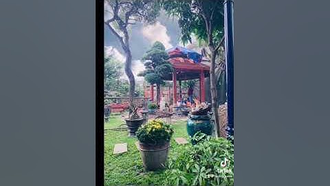 Hành trình thi công bàn giao nhà lục giác gỗ lim lh: 0924 59 3456