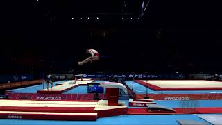 N-e0jHKYv-w Video Image