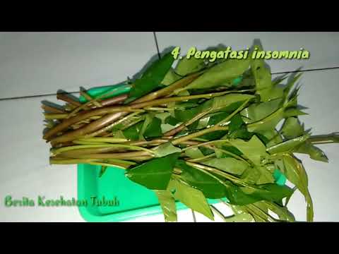 Khasiat Kangkung Merah