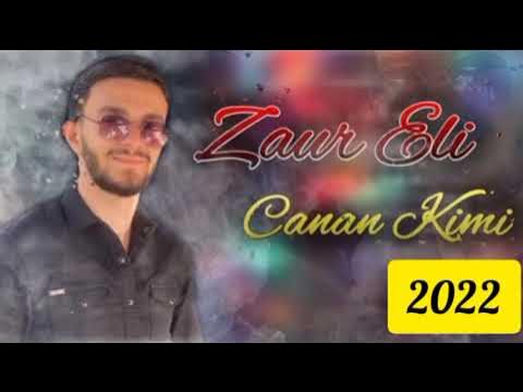 zaur