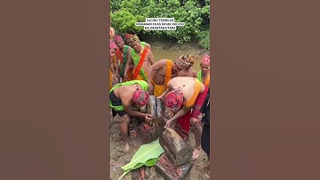 Cacing Tembiluk, Makanan Khas Suku Dayak Bulusu, Kalimantan Utara