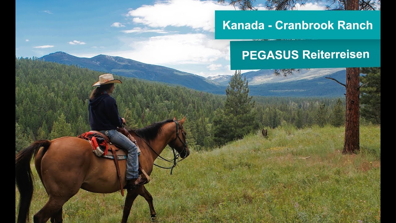 Reiturlaub - Reiten in Kanada - Westernreiten auf der Ranch bei den Purcell Mountains