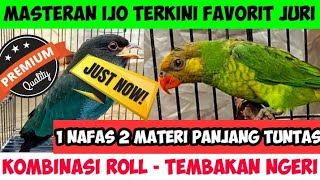 Download Mp3 KOMBINASI MASTERAN TENGKEK BUTO PERKICI COCOK UNTUK MASTERAN CUCAK IJO Gudang lagu Download Mp3 KOMBINASI MASTERAN TENGKEK BUTO PERKICI COCOK UNTUK MASTERAN CUCAK IJO
