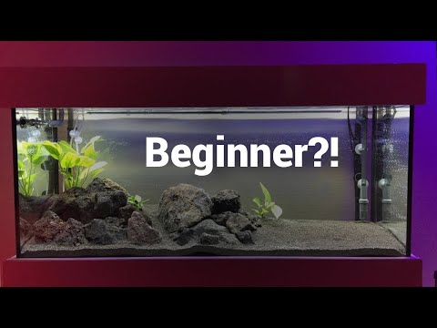 Video: Een zoetwateraquarium opzetten: een gids voor beginners