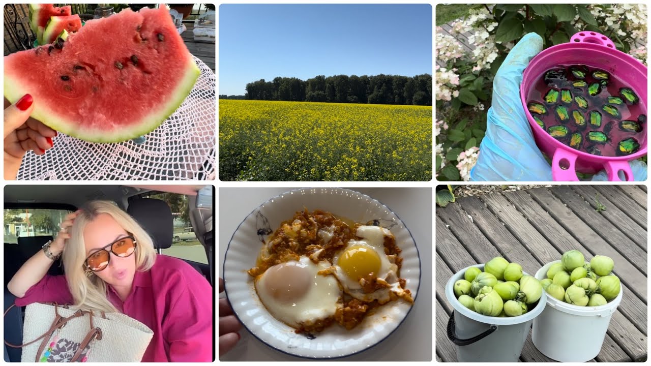 💥ВЛОГ💥ДАЧА/ЗАВТРАК🍳ОТ МУЖА/УРОЖАЙ🍅/ЖУКИ🪲 НА ГОРТЕНЗИИ/ЛОВИМ ТЕПЛЫЕ ДЕНЬКИ/С ЛЮБИМЫМ В РЕСТОРАНЕ❤️