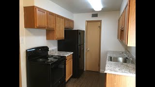 The Envoy Apartments in St. Louis, MO - 603-1W Walk Through Video Tour
