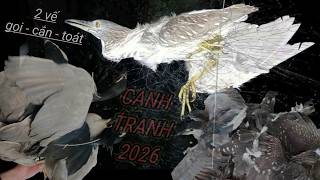 Tiếng Vạc Hay Nhất 2026 File Gọi , Cắn , Toát 2 Vế ( 2 Loa ) Chuẩn Giọng Cạnh Tranh Vụ Chim Tháng 8