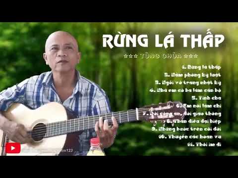Video RỪNG LÁ THẤP - TÙNG CHÙA 2020 - NHỮNG BÀI HÁT NGHE... - youtube
