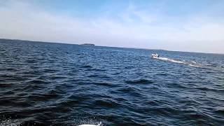 J12 skiff