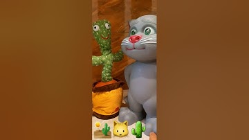#endless #video Dancing cactus & Aitouch Tom 🐱🌵