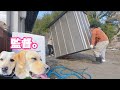 【空き家の古民家DIY】犬走り施工のため倉庫移動しました。