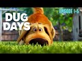 Dug Days 2021 Short Movies Disney  | Episode 1-5